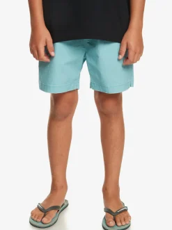 Quiksilver Shorts|Boy'S 8-16 Taxer 15