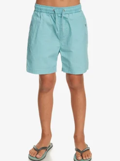 Quiksilver Shorts|Boy'S 8-16 Taxer 15