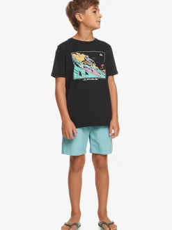 Quiksilver Shorts|Boy'S 8-16 Taxer 15
