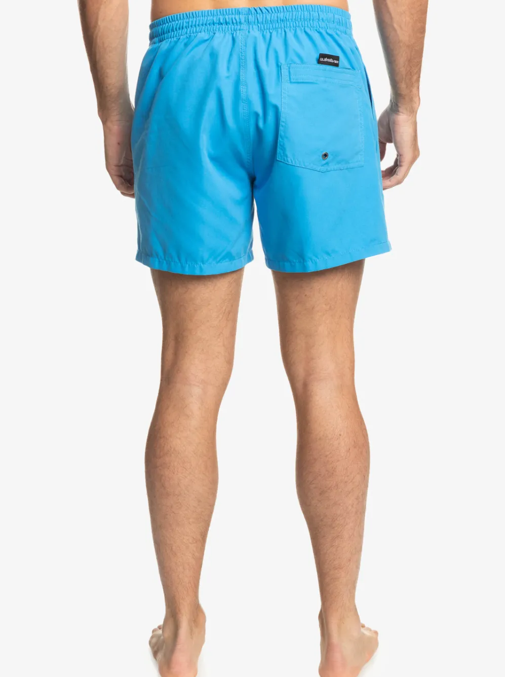 Quiksilver Elastic Waist|Everyday 15" Volleys Blithe