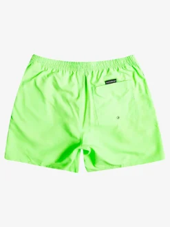 Quiksilver Elastic Waist|Everyday 17" Volleys For Young Men Green Gecko