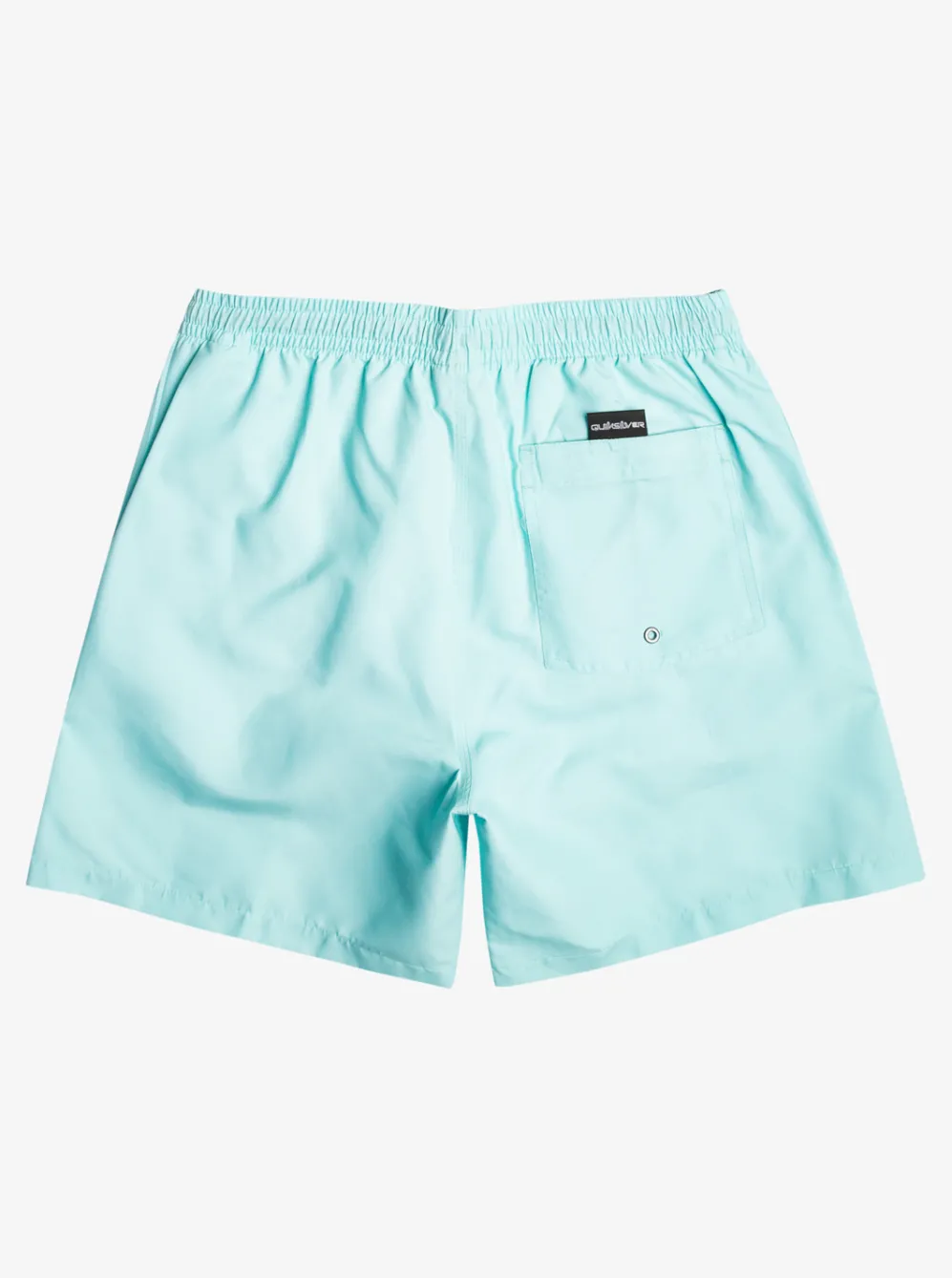 Quiksilver Elastic Waist|Everyday 17" Volleys For Young Men Pastel Turquoise