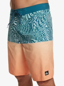 Quiksilver Boardshorts|Everyday Division 20