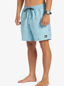 Quiksilver Boardshorts|Everyday Mix 17