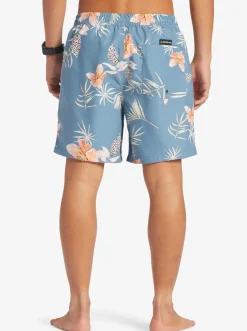 Quiksilver Boardshorts|Everyday Mix 17