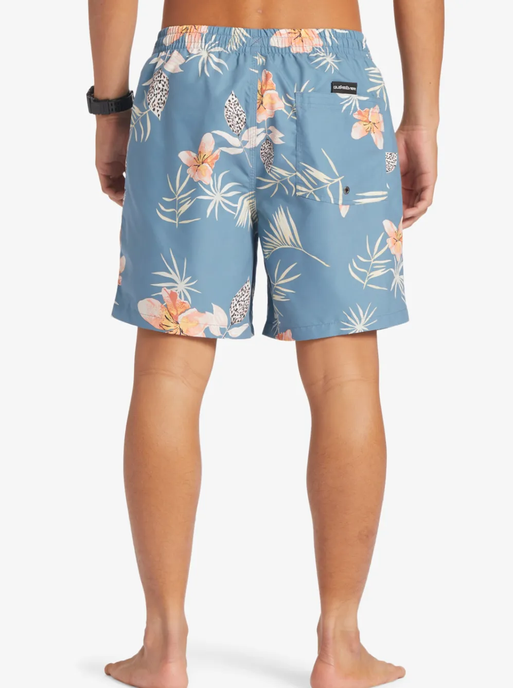 Quiksilver Boardshorts|Everyday Mix 17" Volleys Aegean Blue