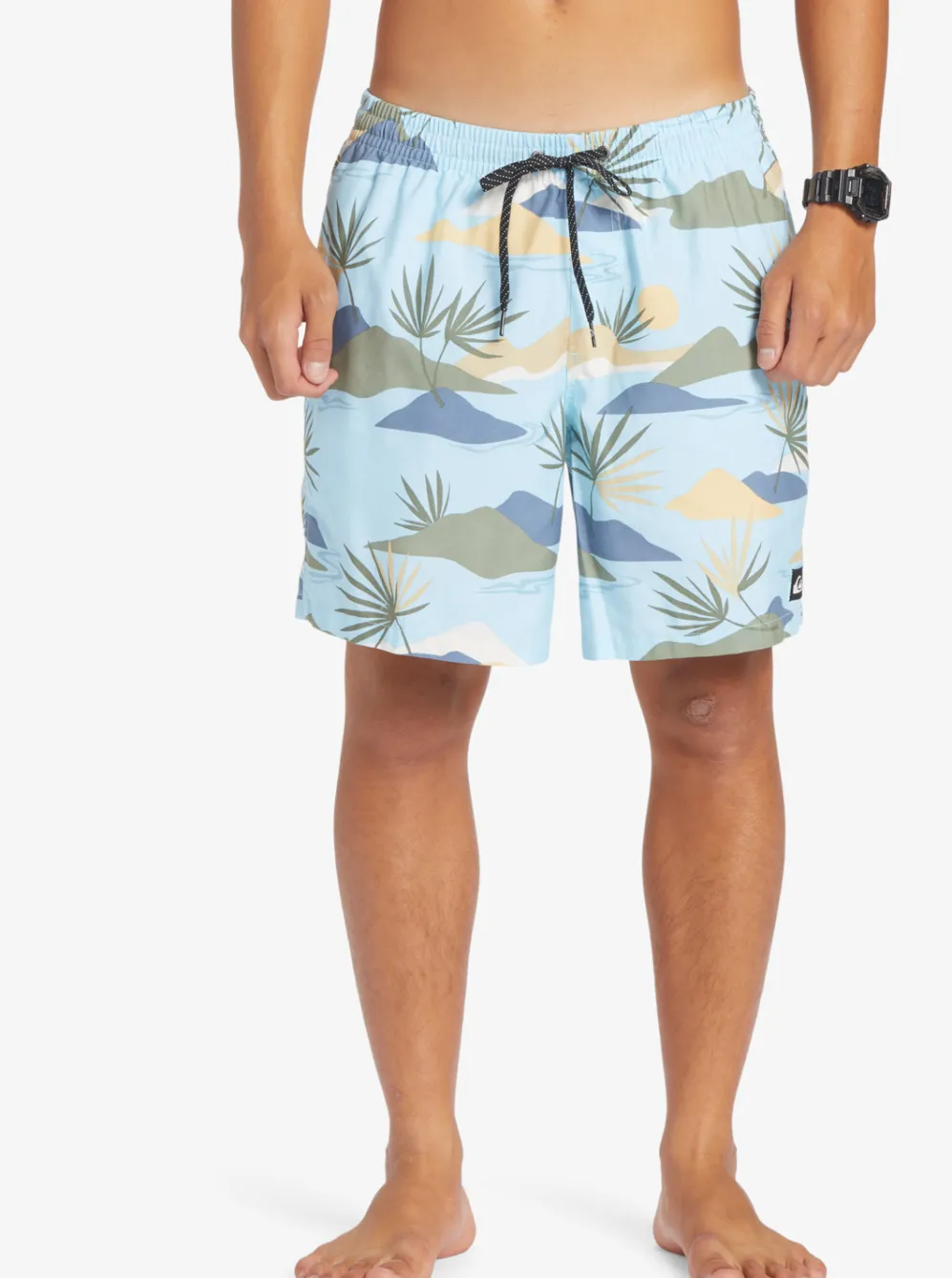 Quiksilver Boardshorts|Everyday Mix 17" Volleys Sky Blue