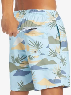 Quiksilver Boardshorts|Everyday Mix 17