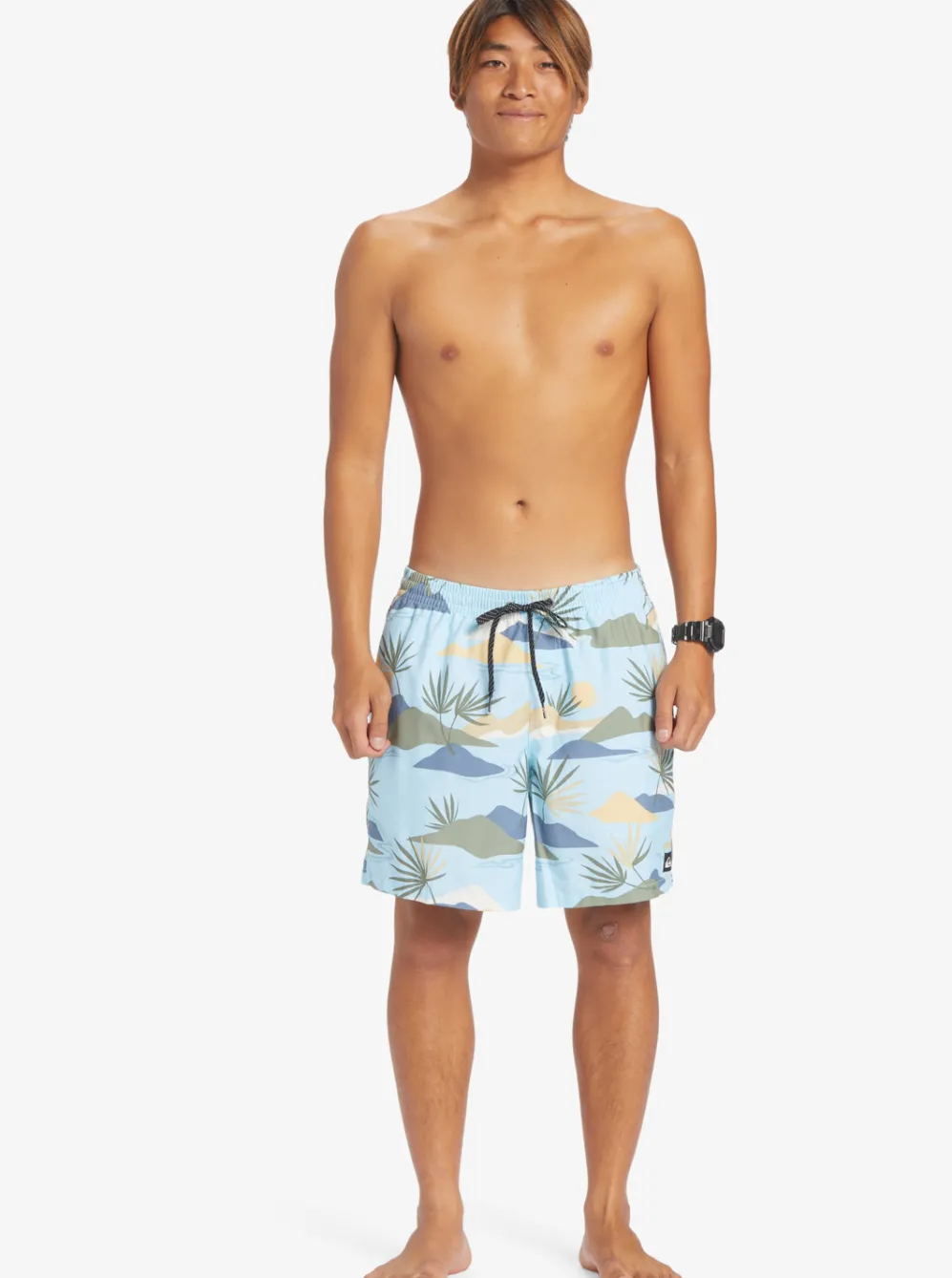 Quiksilver Boardshorts|Everyday Mix 17" Volleys Sky Blue
