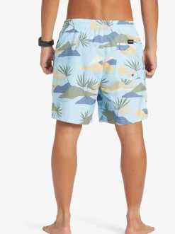 Quiksilver Boardshorts|Everyday Mix 17
