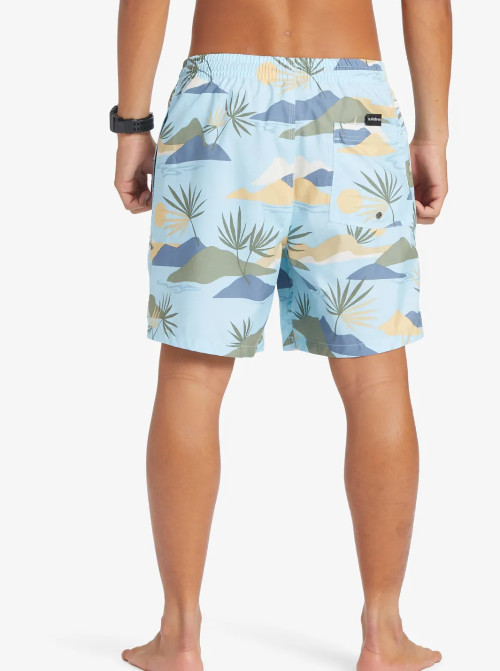 Quiksilver Boardshorts|Everyday Mix 17" Volleys Sky Blue
