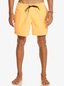 Quiksilver Elastic Waist|Everyday Vert 16