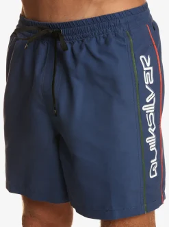 Quiksilver Elastic Waist|Everyday Vert 16