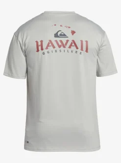 Quiksilver Rashguards|Hi Royalty Surf Short Sleeve Upf 50 Surf T-Shirt Grey Violet
