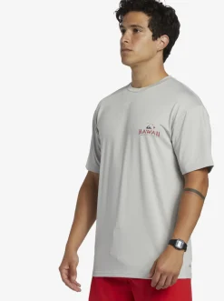 Quiksilver Rashguards|Hi Royalty Surf Short Sleeve Upf 50 Surf T-Shirt Grey Violet