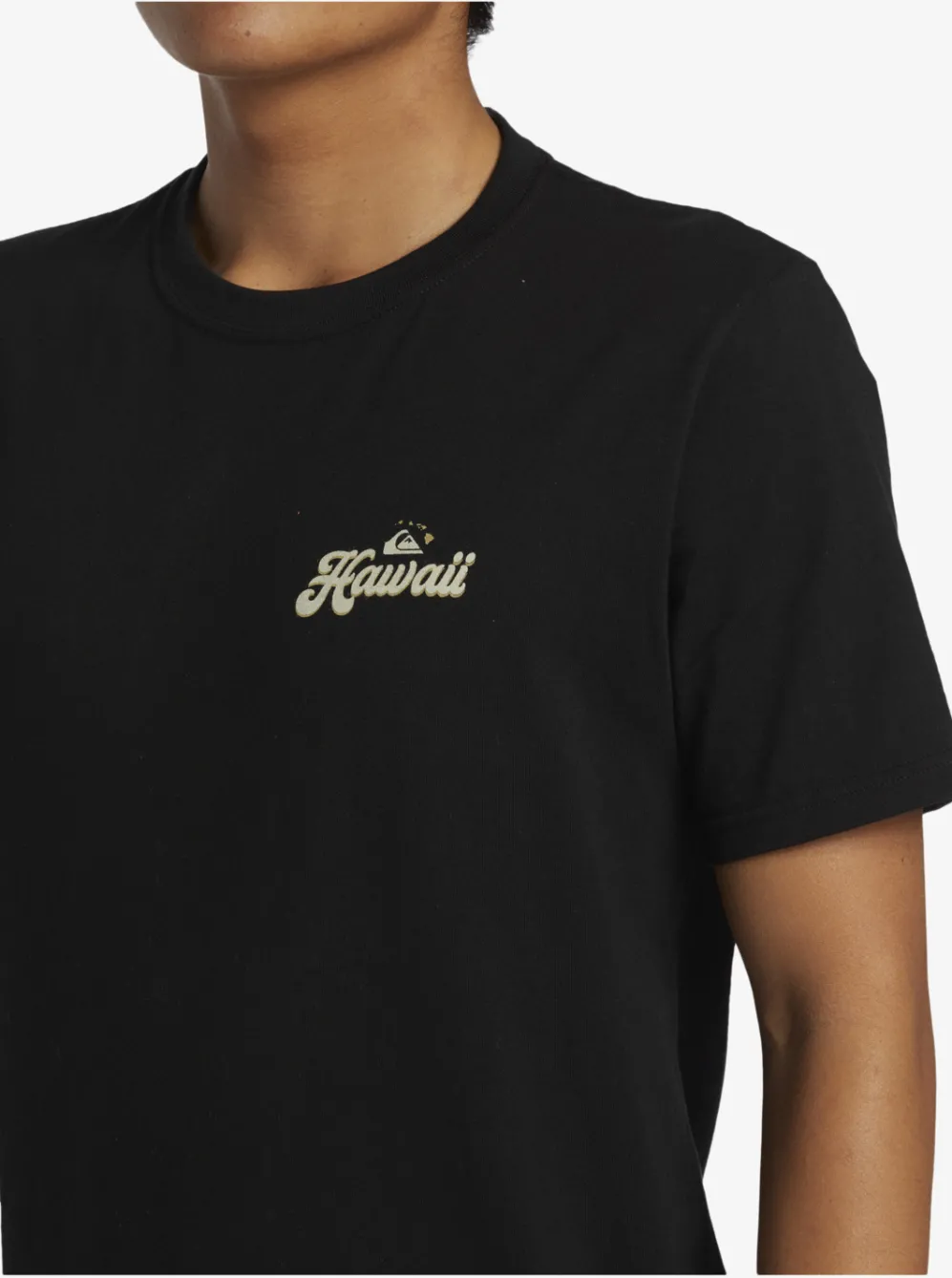 Quiksilver Tees|Hi Water On The Brain T-Shirt Black