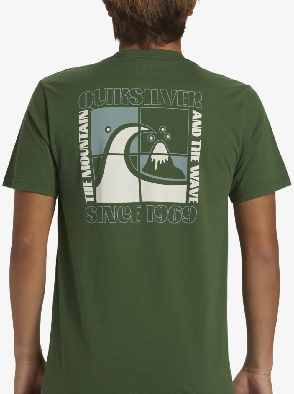 Quiksilver Tees|Quik Blocks T-Shirt Greener Pastures