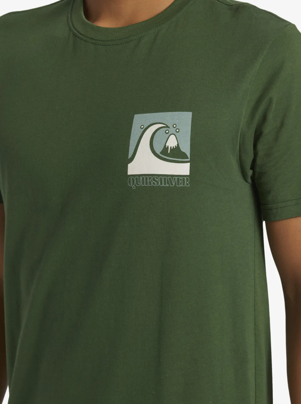 Quiksilver Tees|Quik Blocks T-Shirt Greener Pastures