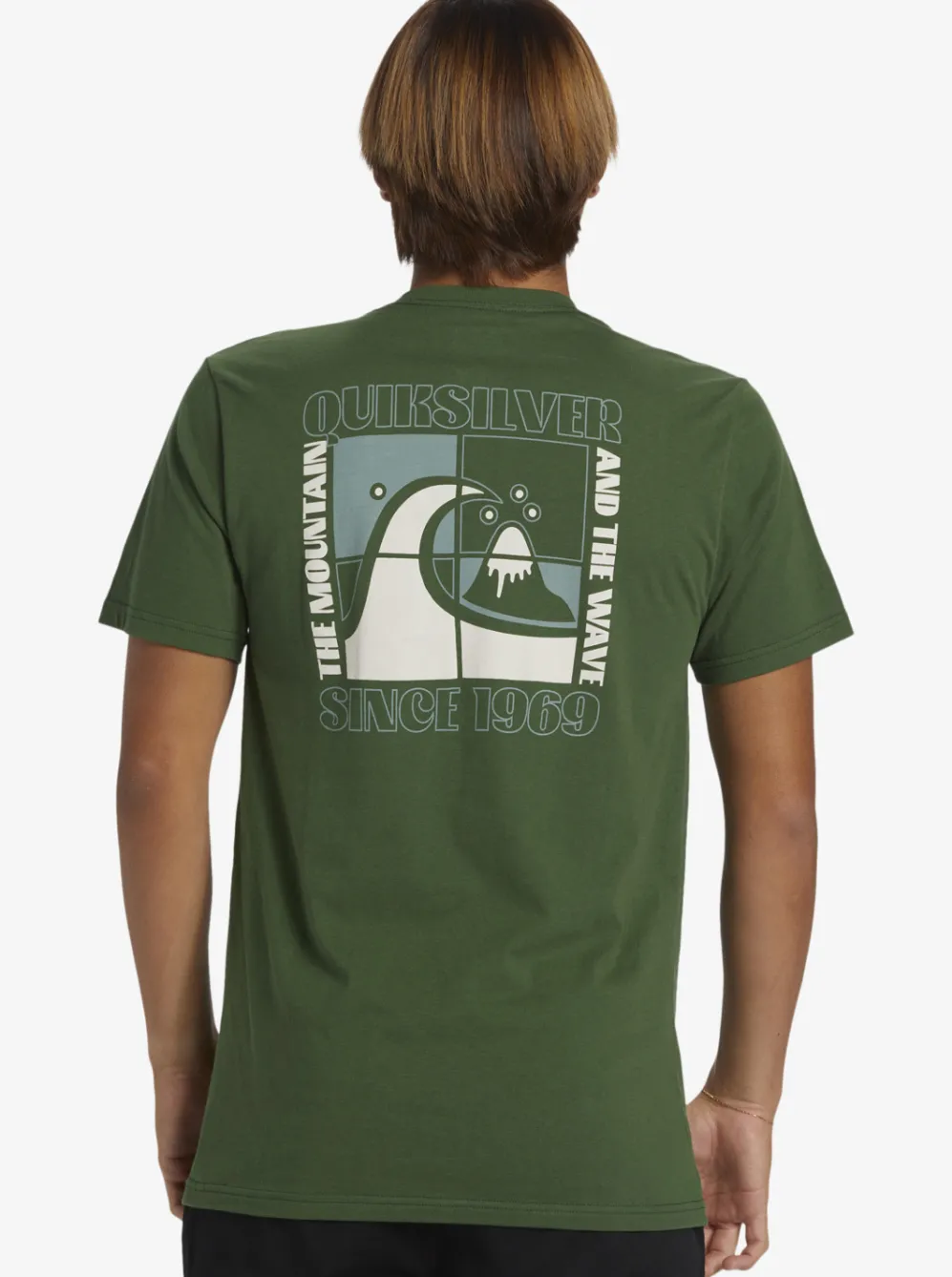 Quiksilver Tees|Quik Blocks T-Shirt Greener Pastures