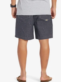 Quiksilver Shorts & Amphibians|Saturn Taxer 18