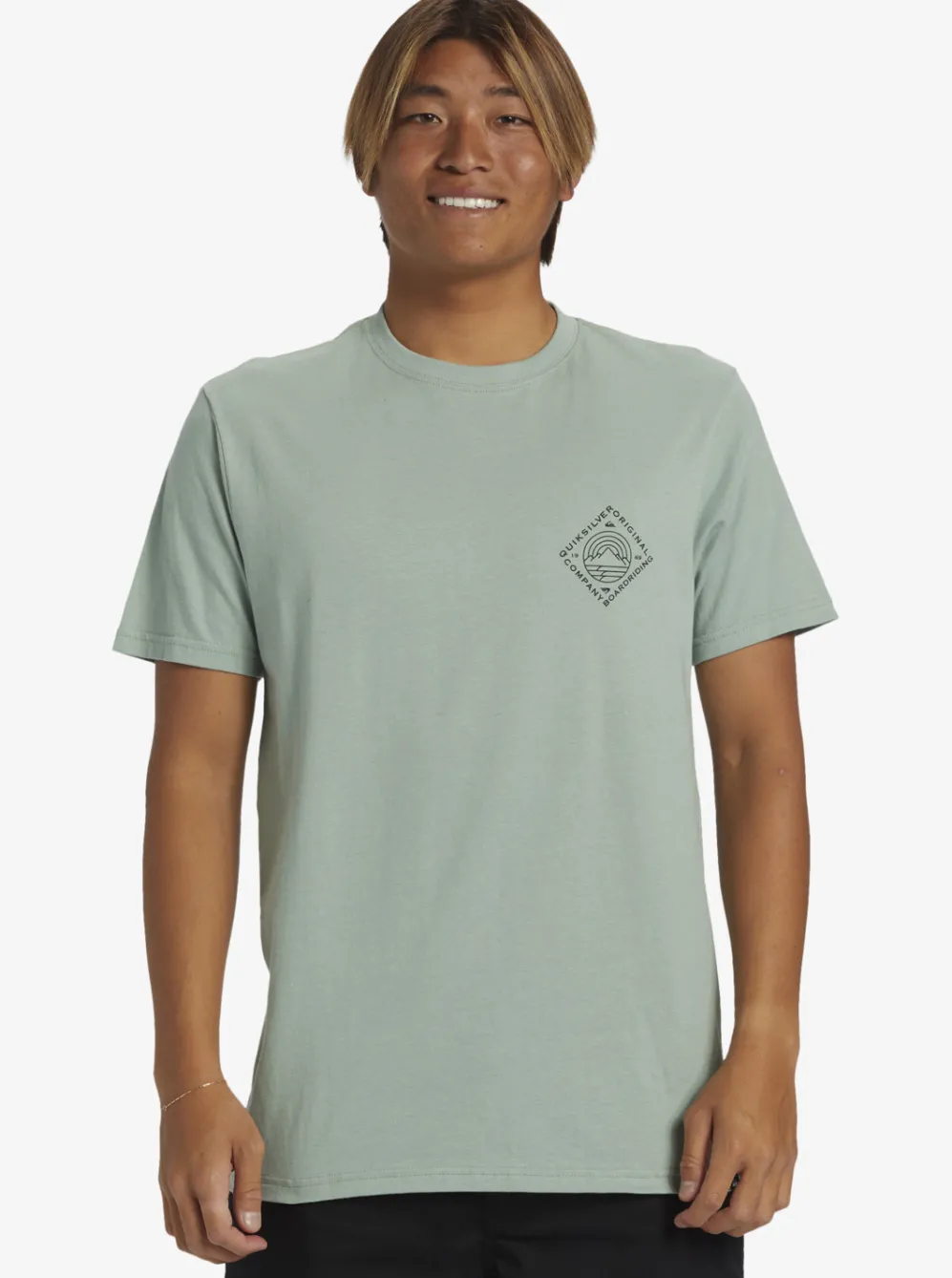 Quiksilver Tees|Scenic View T-Shirt Iceberg Green