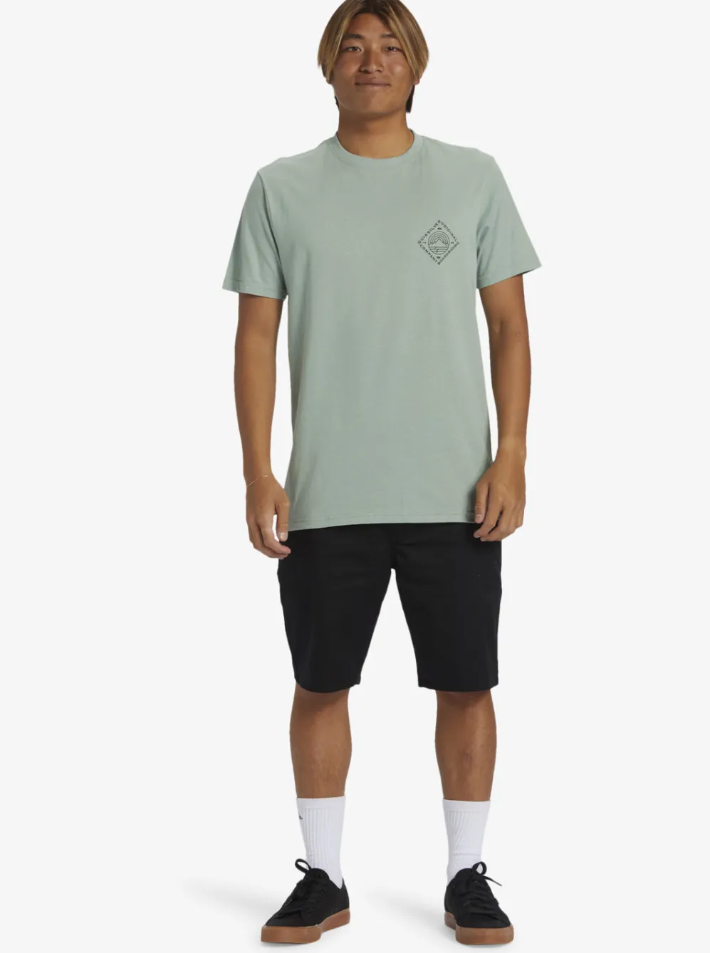 Quiksilver Tees|Scenic View T-Shirt Iceberg Green