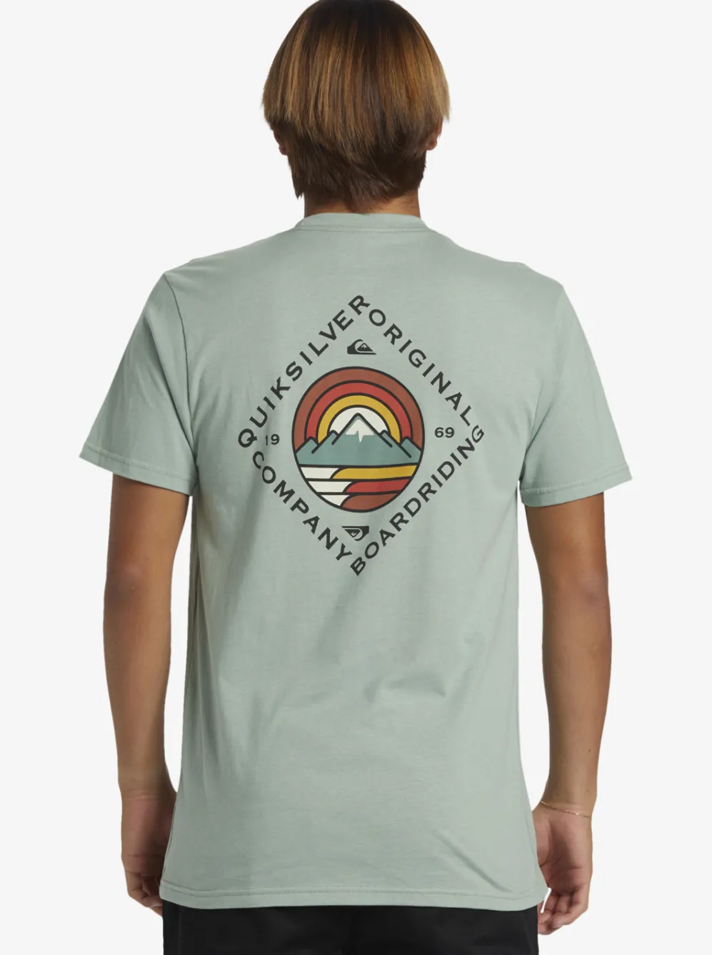 Quiksilver Tees|Scenic View T-Shirt Iceberg Green