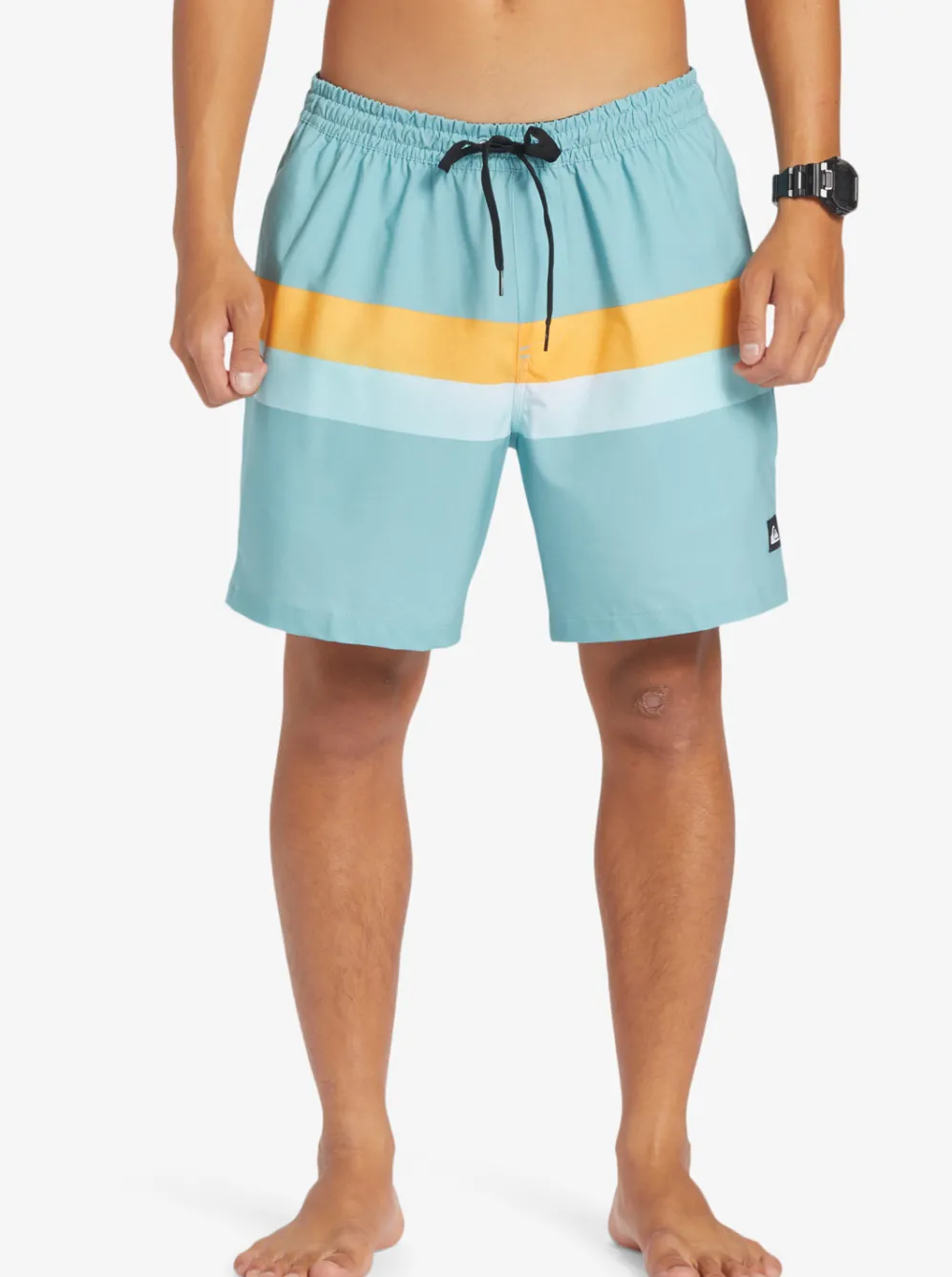 Quiksilver Elastic Waist|Surfsilk Air-Brush 17" Volleys For Men Cameo Blue