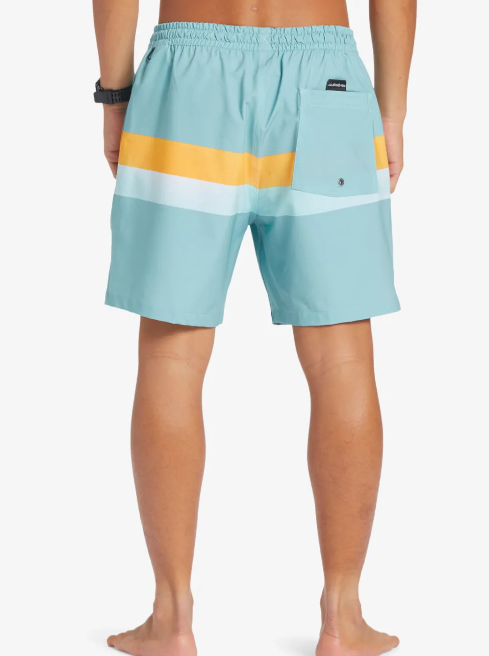 Quiksilver Elastic Waist|Surfsilk Air-Brush 17" Volleys For Men Cameo Blue