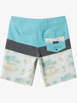 Quiksilver Boardshorts|Surfsilk Panel 20" Boardshorts Snow White Palm Spritz