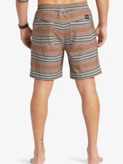 Quiksilver Boardshorts|Taxer Print 18