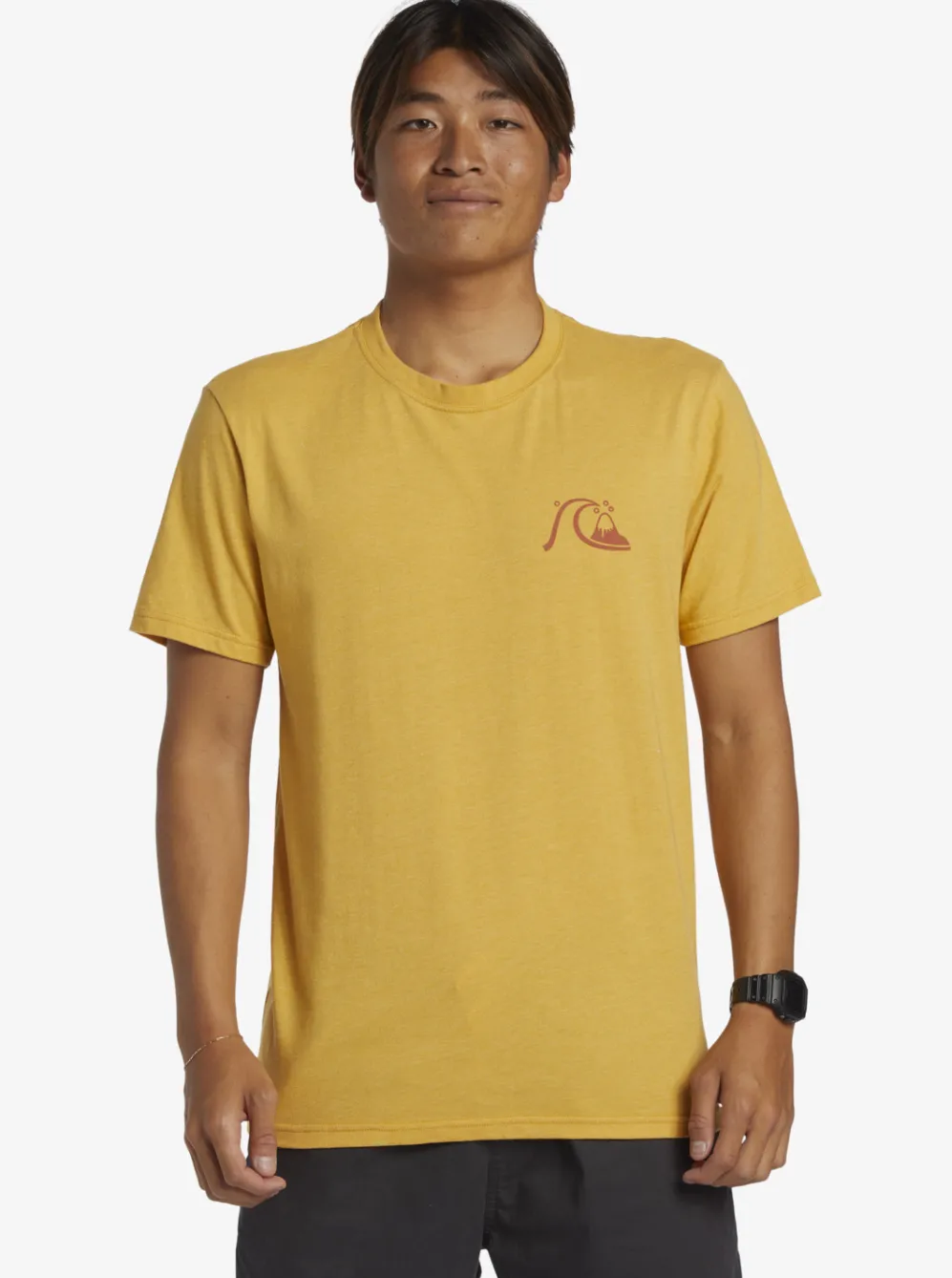 Quiksilver Tees|Valley Of Dreams T-Shirt Bright Gold Heather