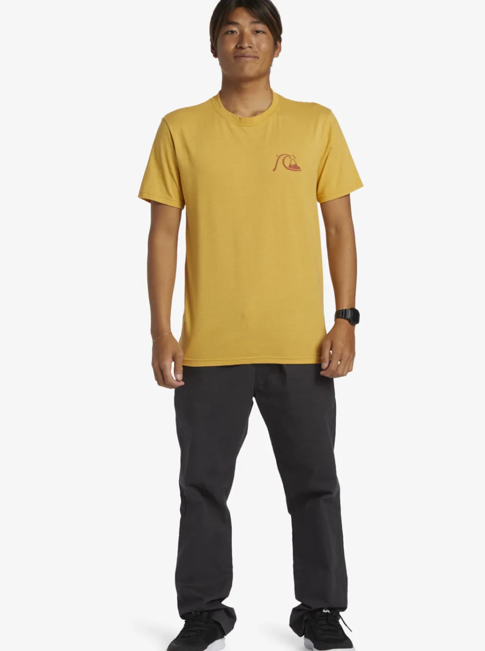 Quiksilver Tees|Valley Of Dreams T-Shirt Bright Gold Heather