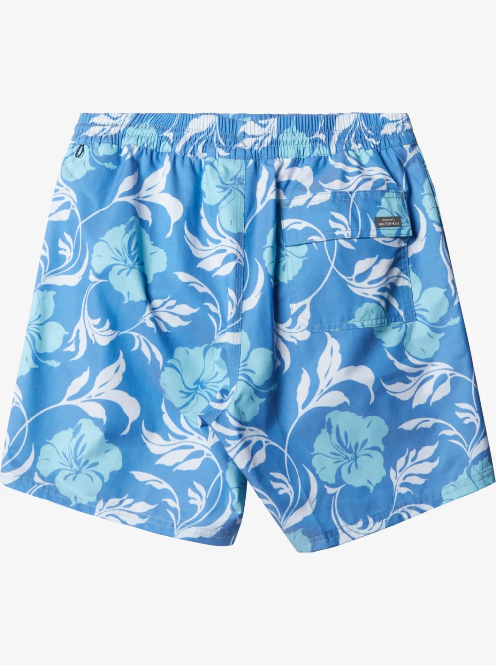 Quiksilver Elastic Waist|Waterman Big Charmer Volleys Directoire Blue Vly Big Charm